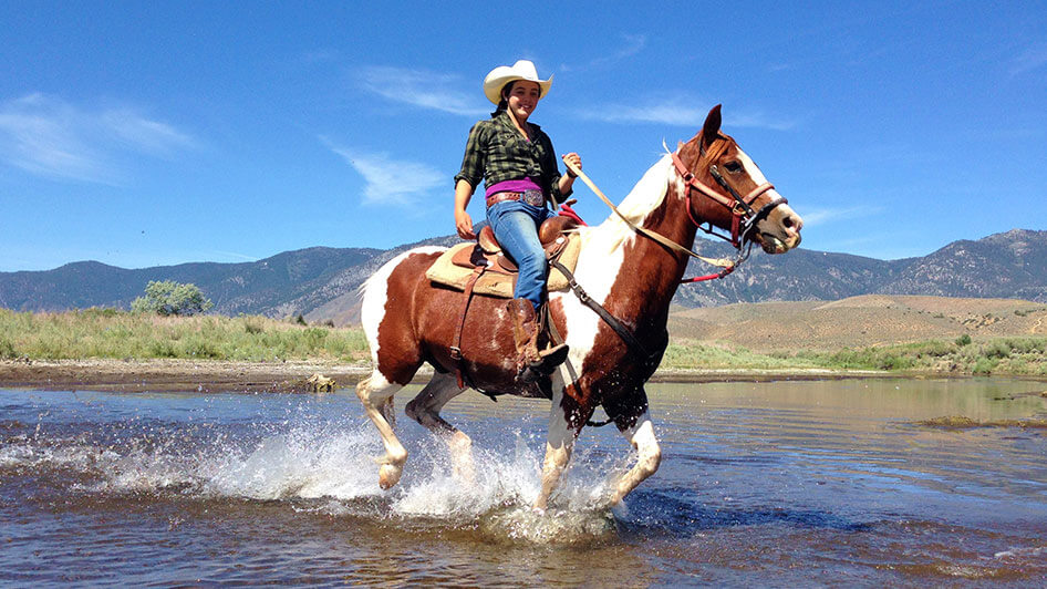 The Joy and Adventure of Horseback Riding插图4