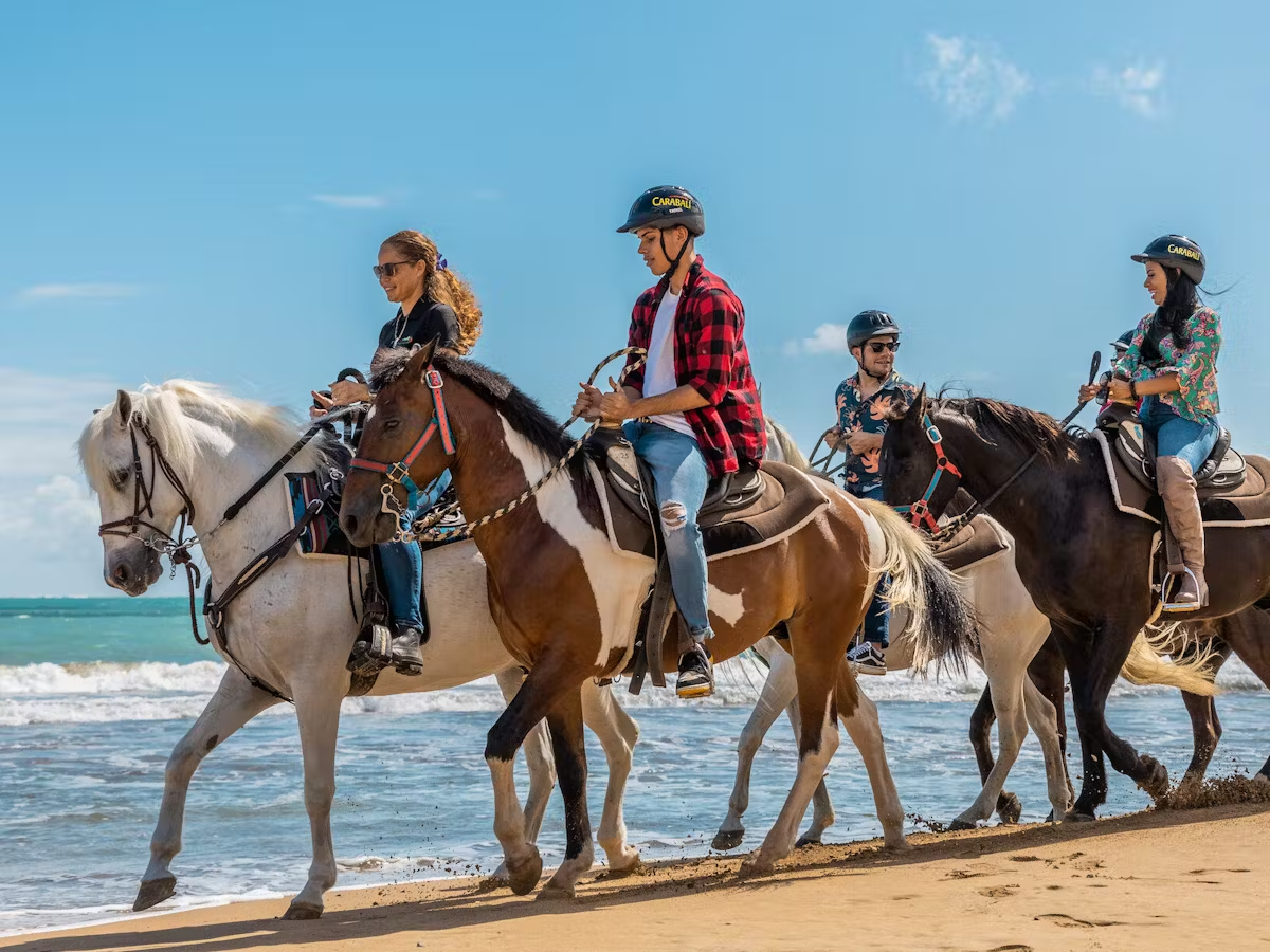 The Joy and Adventure of Horseback Riding缩略图