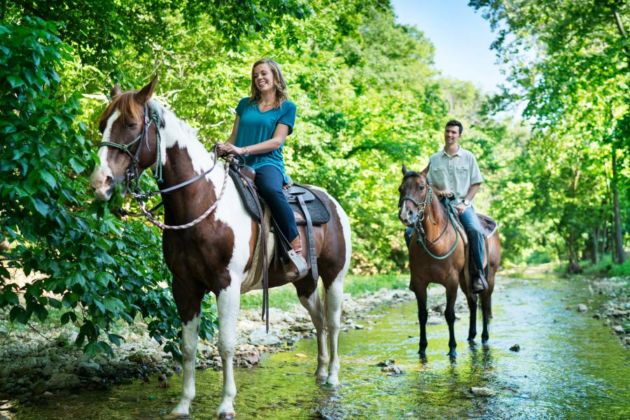 horse riding near me