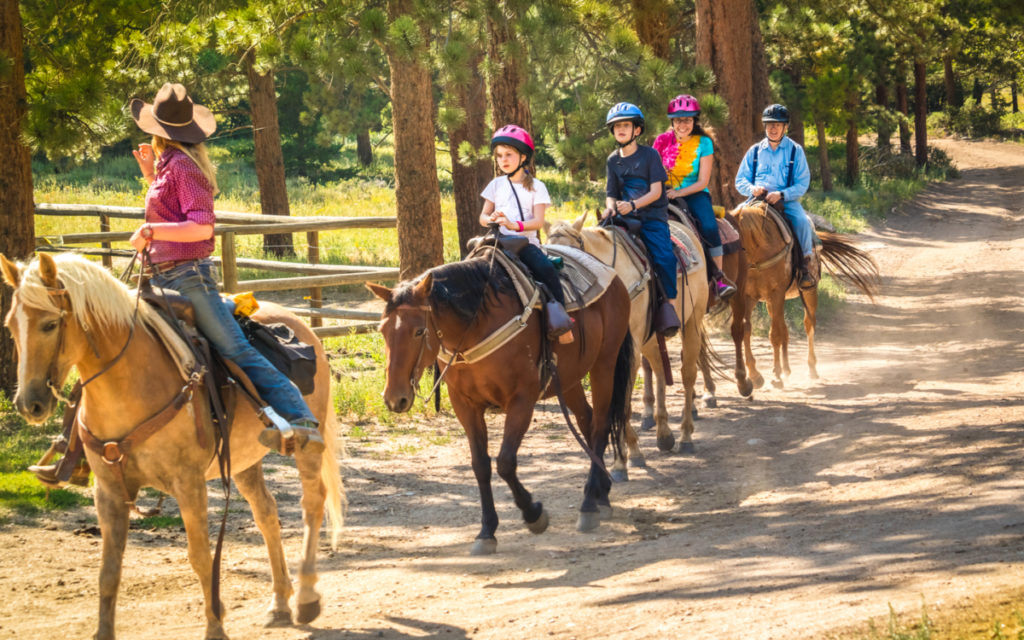 Exploring the World of Horseback Riding插图4