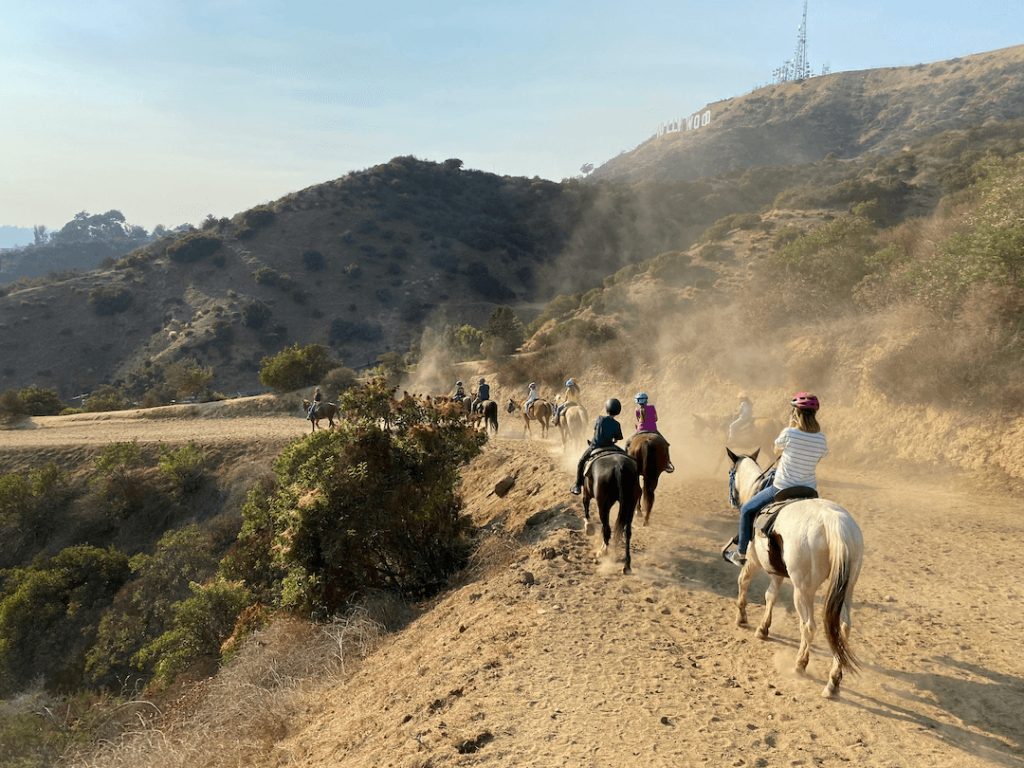 Exploring the World of Horseback Riding插图2