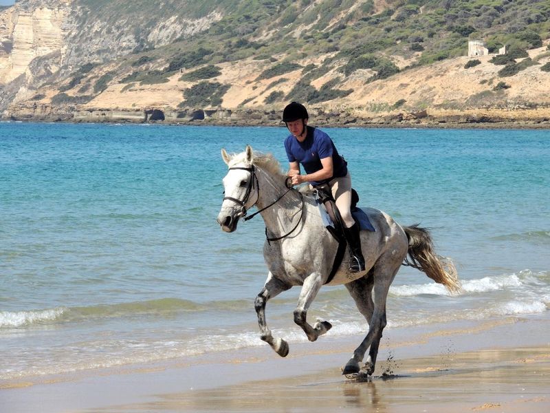 horse back ridinghorse back ridinghorse back riding