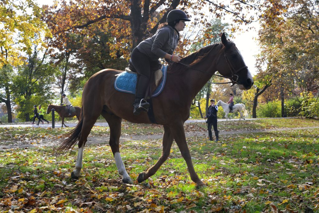 horse back riding