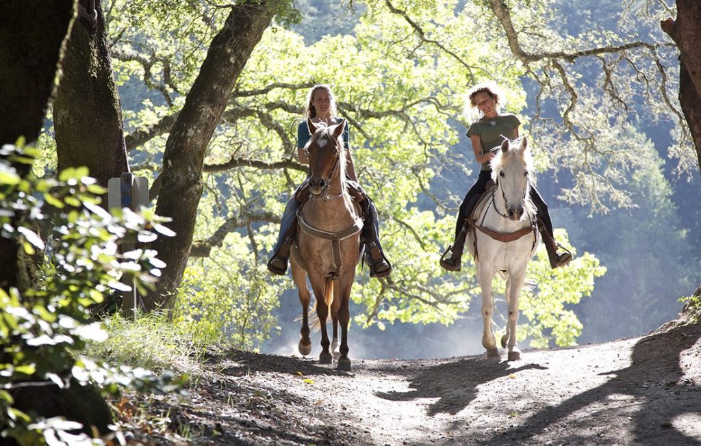 Horse Riding Near Me: Finding the Perfect Equestrian Experience插图3