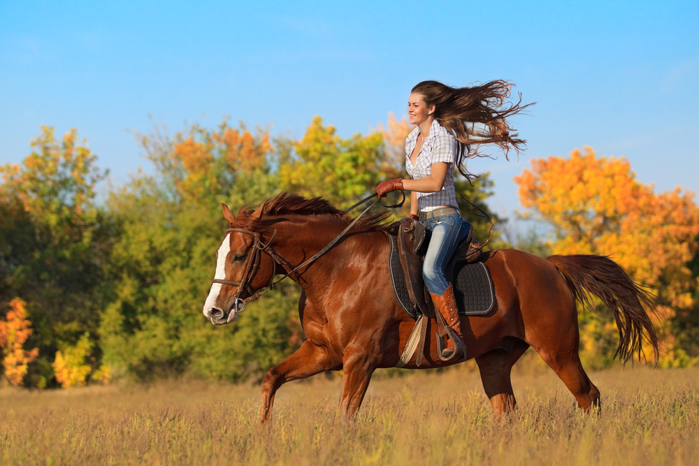 horse back riding