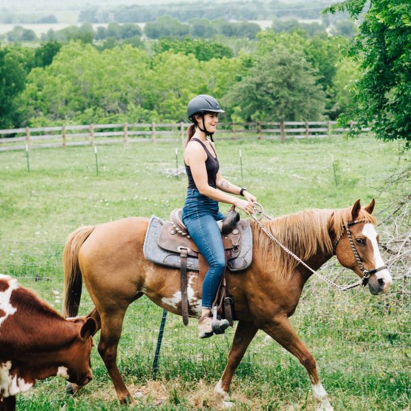 horse riding lessons