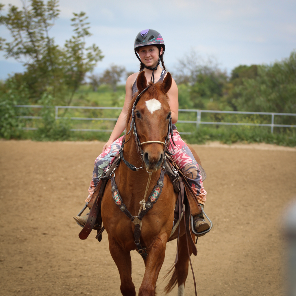 “Saddle Up: Mastering the Basics Through Horse Riding Lessons插图1