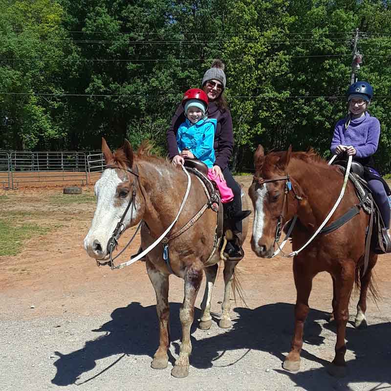 horse riding lessons