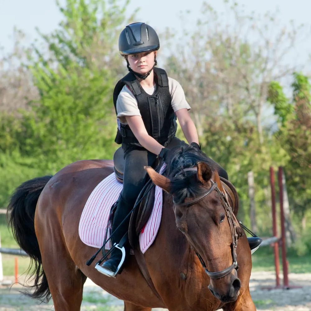 	
horseback riding