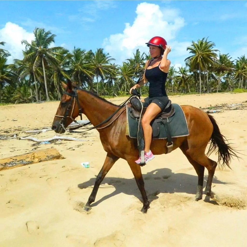 	
equestrian outfit