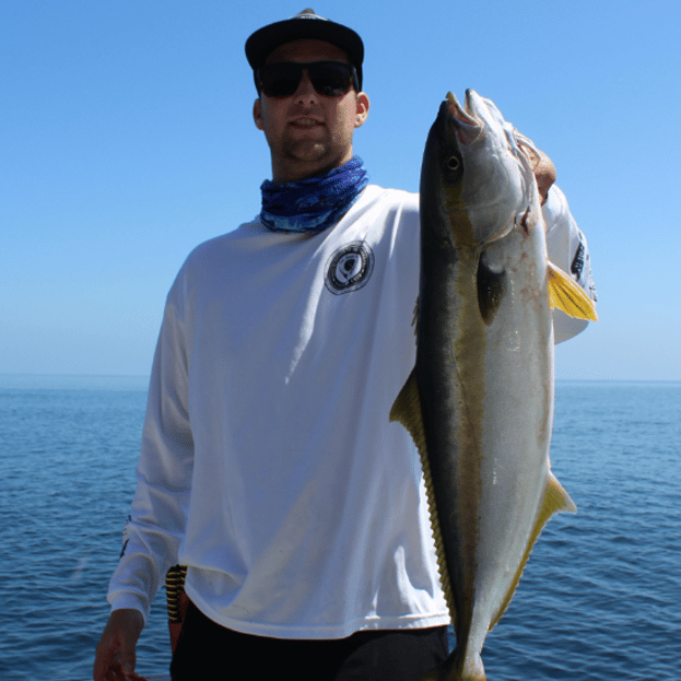 fishing rods