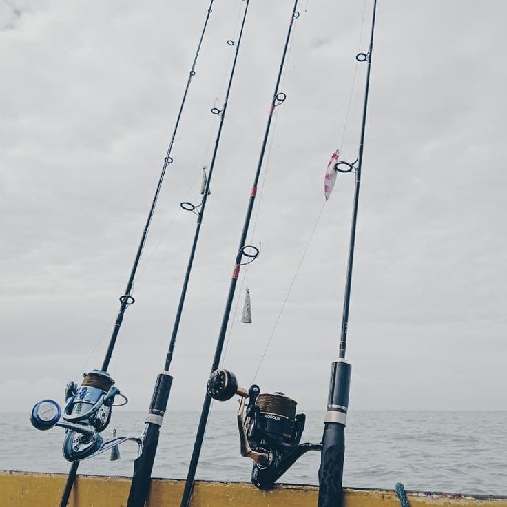 do fishing rods float