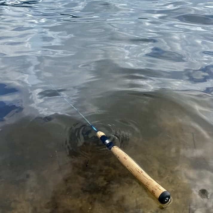 do fishing rods float