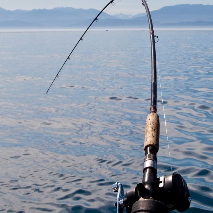 do fishing rods float