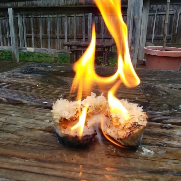 fatwood fire starter