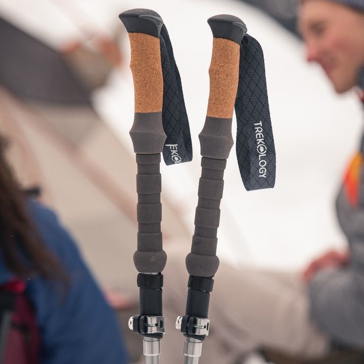 trekking pole