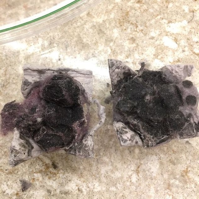 dryer lint fire starter