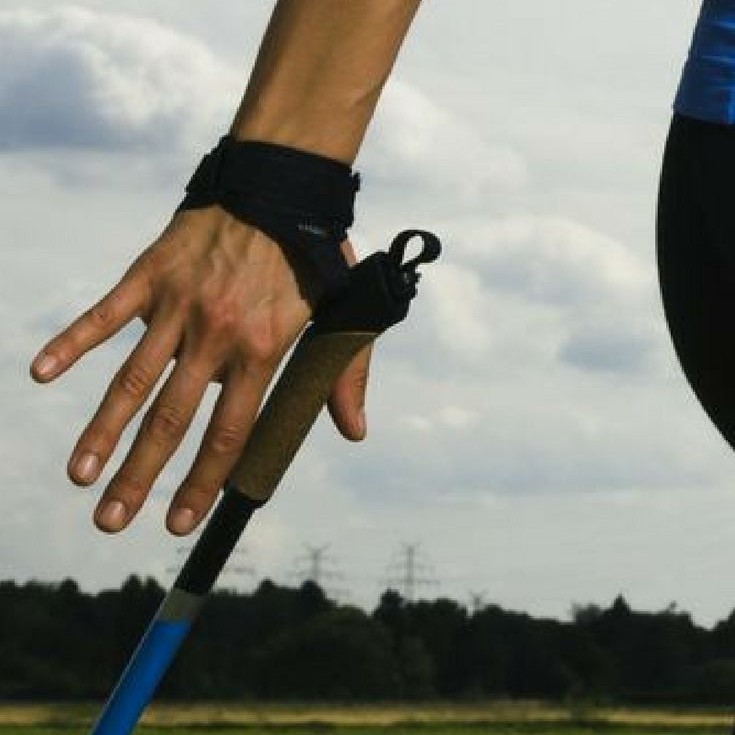 trekking pole