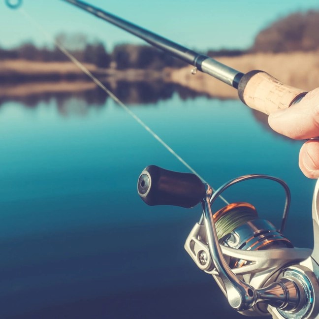 pick a fishing rod