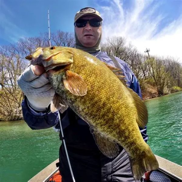 bass fishing