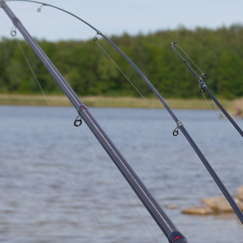 pick a fishing rod