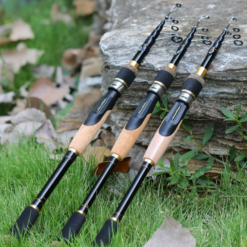 What Is the Best Fishing Rod for Your Style? Find the Right One插图 fishing rod