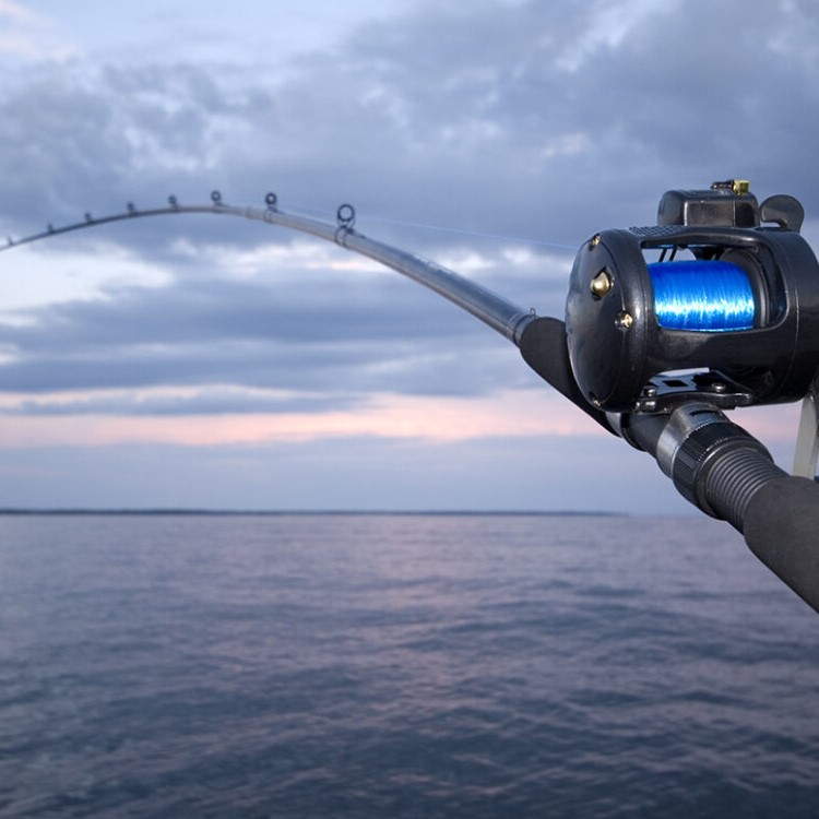 set up a fishing rod hook and sinker