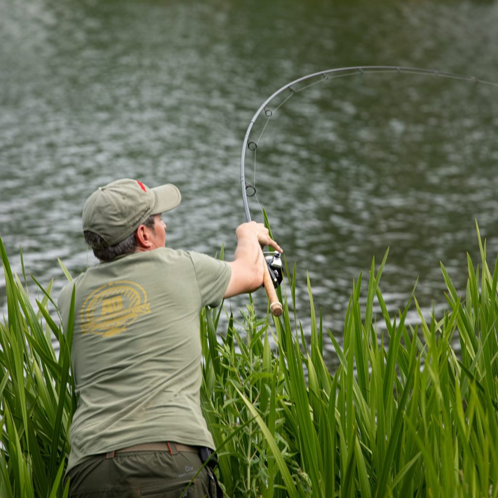 pick a fishing rod