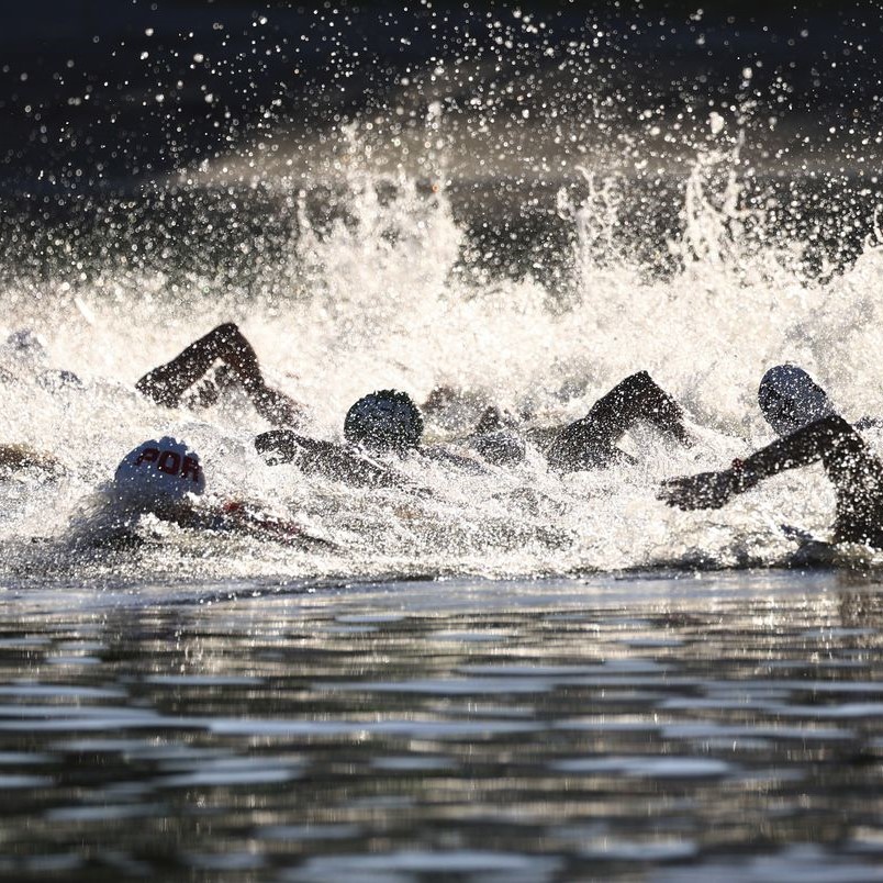 open water swimming olympics