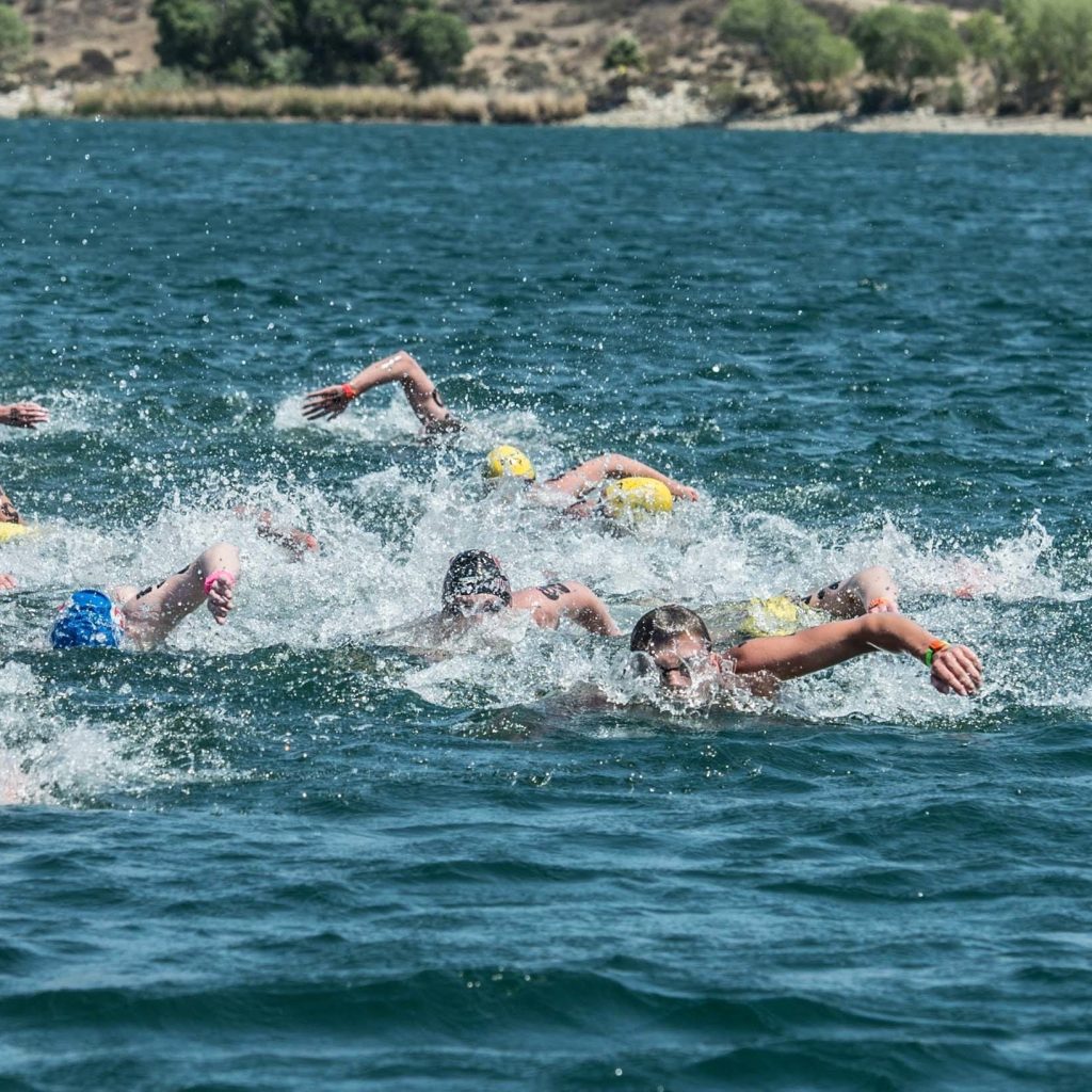 open water swimming olympics
