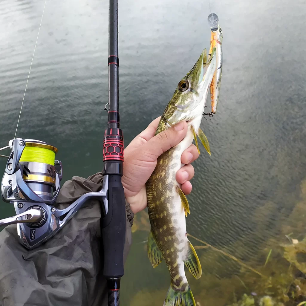 best fishing rod brands