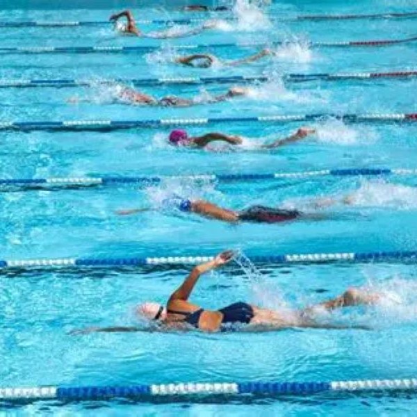 is swimming a sport