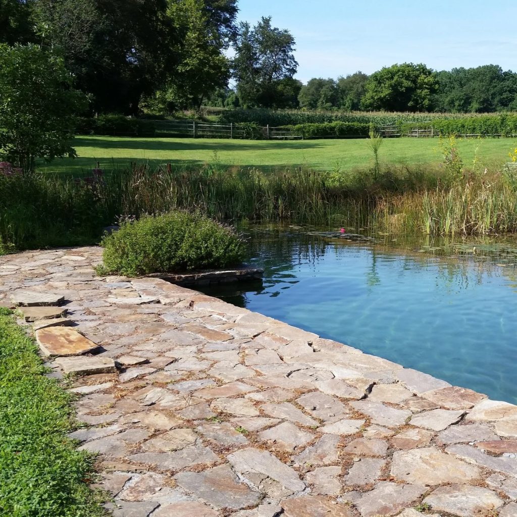 natural swimming pond
