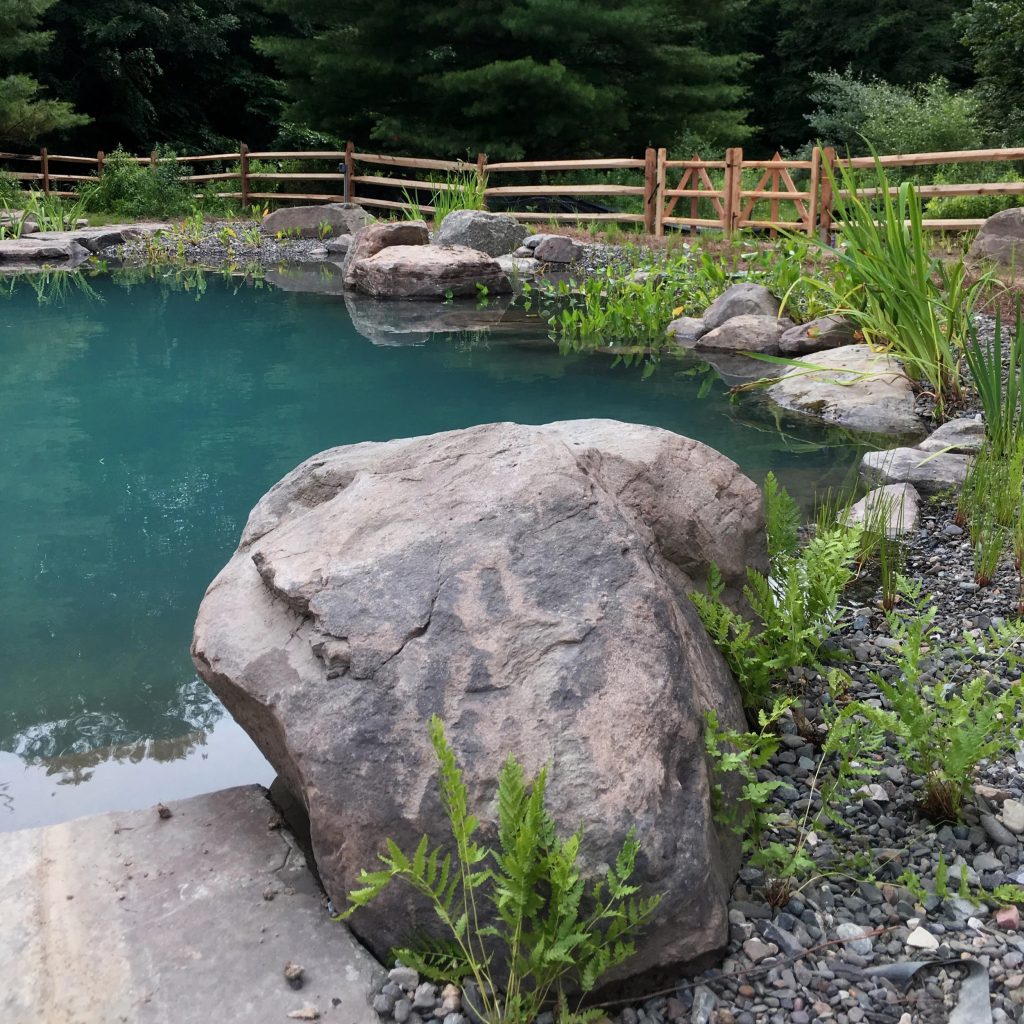 natural swimming pond