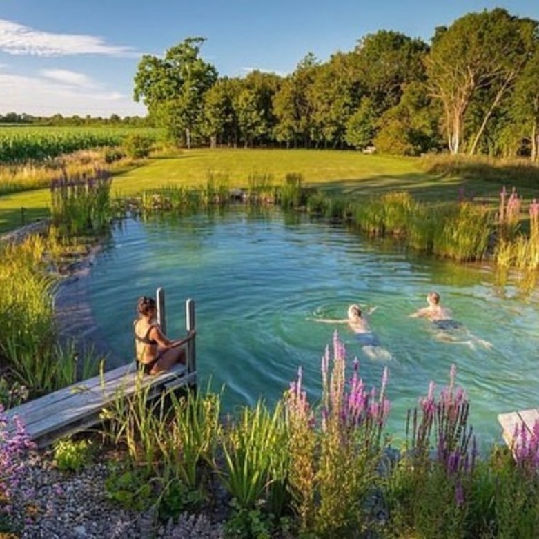 natural swimming pond