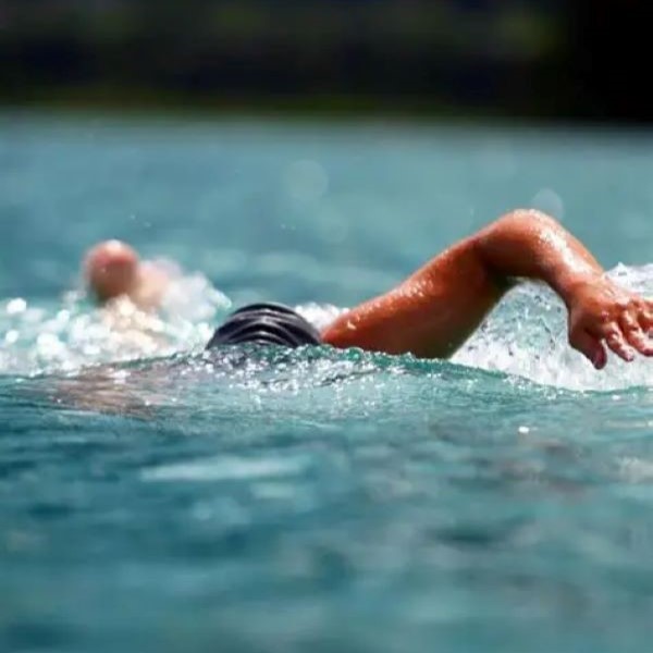 freestyle swimming technique