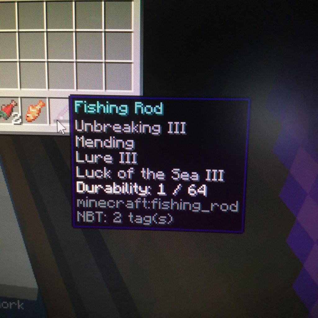 fishing rod enchantments minecraft