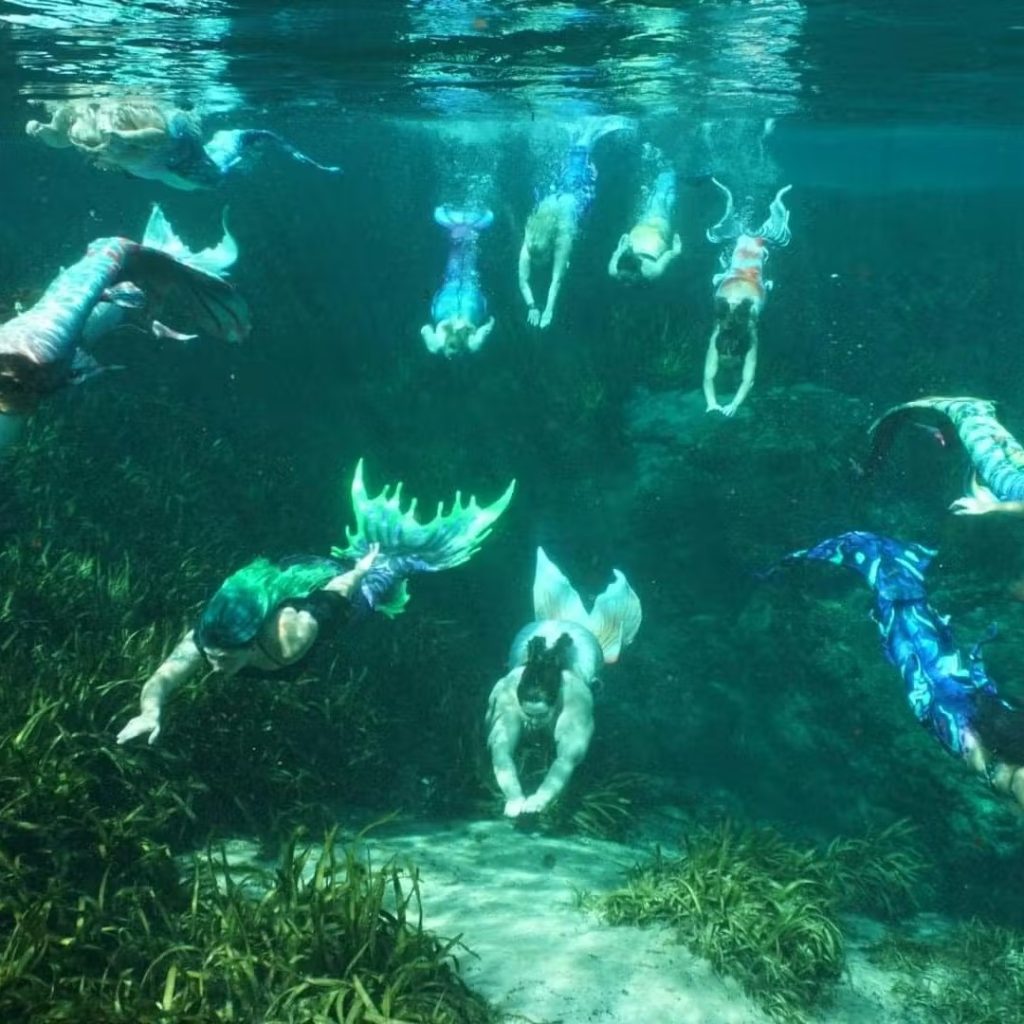 swimming with the fishes