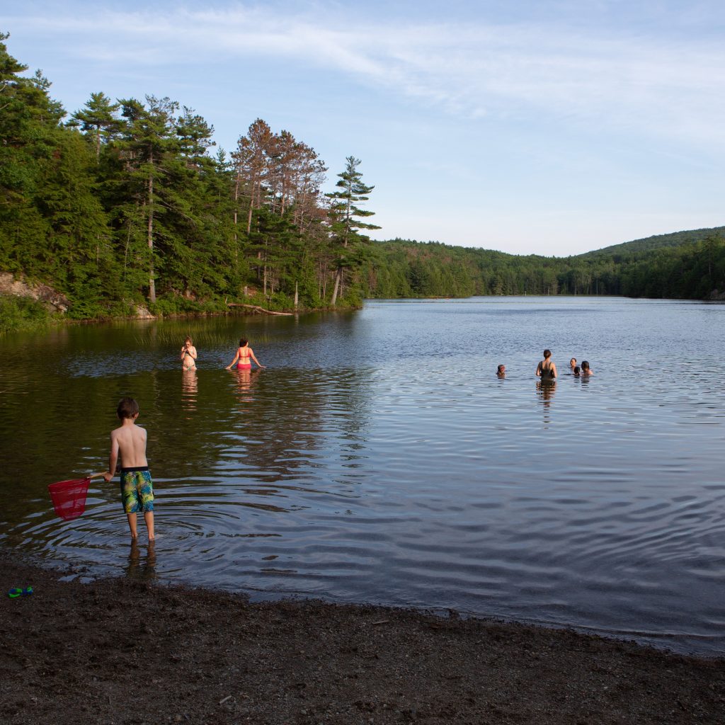 swimming in a lake
