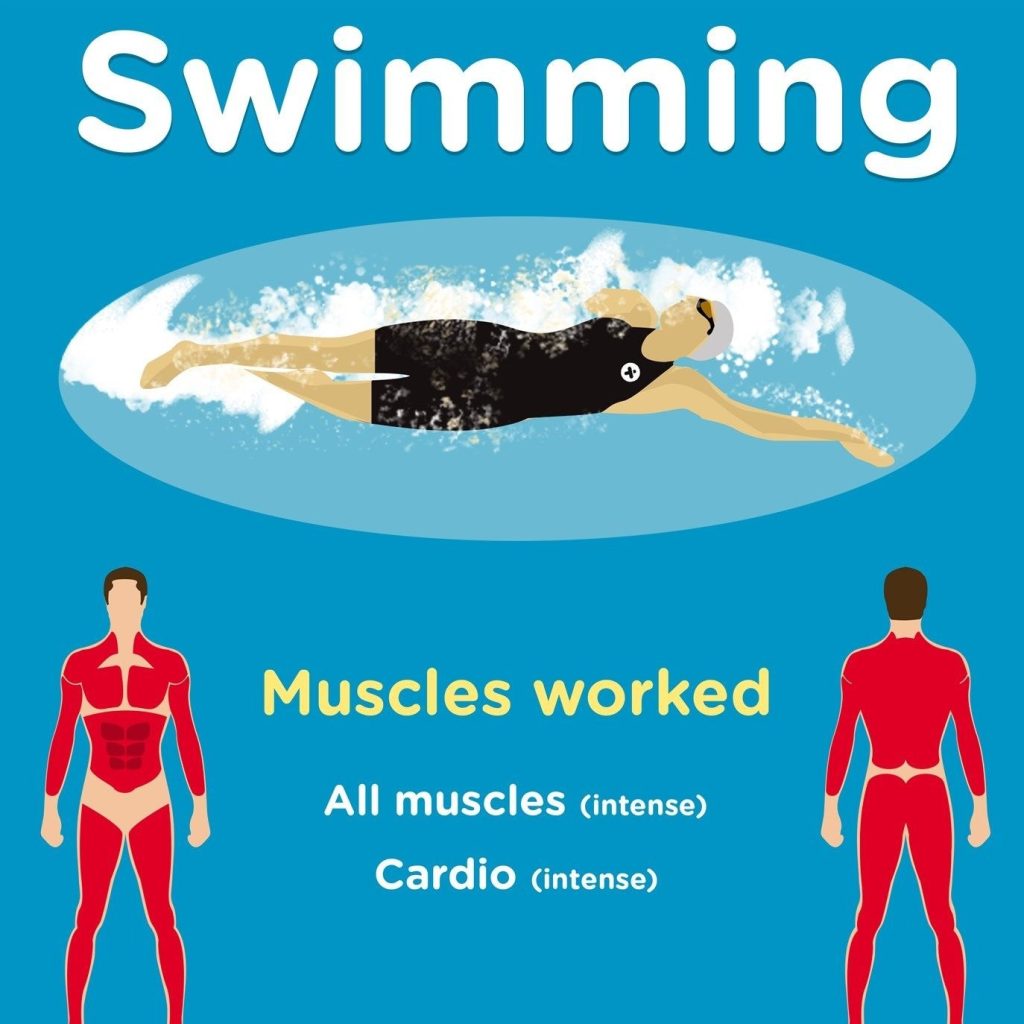 calories burned swimming calculator